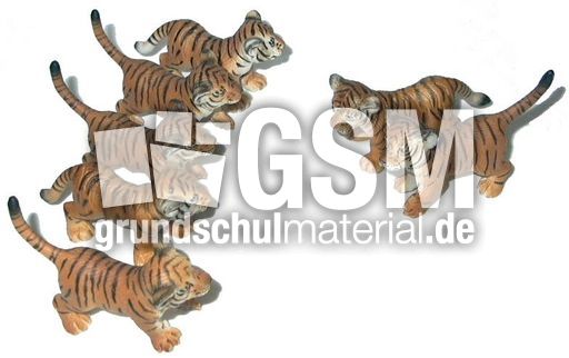 Tiger-5+2.jpg